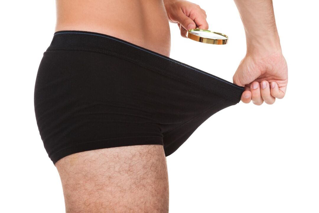 taille normale de l'organe mâle